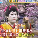 レス22番の画像サムネイル