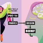 レス25番のリンク先のサムネイル画像