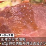 レス1番のサムネイル画像