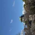 レス65番の画像1