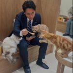 レス1番のサムネイル画像