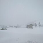 レス44番の画像1