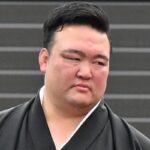 レス2番のリンク先のサムネイル画像