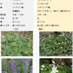 レス3番の画像1