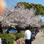 レス9番の画像1