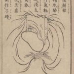 レス19番の画像1