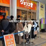 レス2番のサムネイル画像