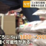 レス53番のサムネイル画像