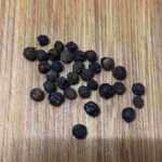 レス11番の画像1