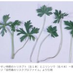 レス3番の画像2