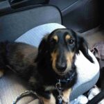 レス18番の画像2