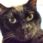 レス26番の画像2