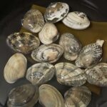 レス19番の画像1