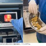 レス2番の画像1