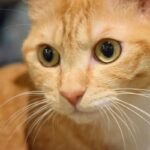 レス30番の画像1