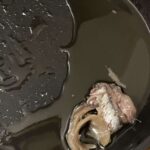 レス12番の画像1