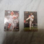 レス22番の画像1