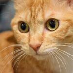 レス28番の画像3