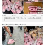 レス1番のサムネイル画像