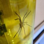 レス34番の画像1