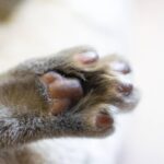 レス40番の画像1