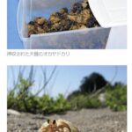 レス1番のサムネイル画像