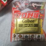 レス32番の画像1