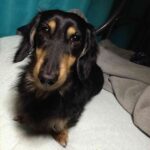 レス18番の画像1