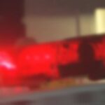 レス2番のリンク先のサムネイル画像