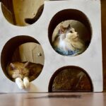 レス9番の画像2