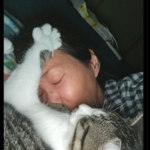 レス1番のサムネイル画像