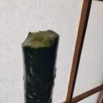 レス2番のサムネイル画像