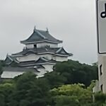 レス44番のサムネイル画像