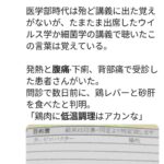 レス41番の画像1