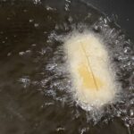 レス36番の画像2