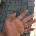 レス20番の画像1