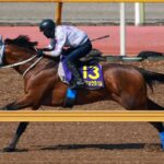 レス4番のリンク先のサムネイル画像