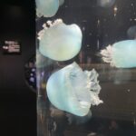 レス35番の画像1