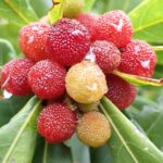 レス18番のサムネイル画像