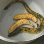 レス2番のサムネイル画像