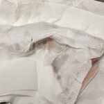 レス24番の画像1