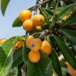 レス18番のサムネイル画像