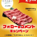 レス13番のサムネイル画像