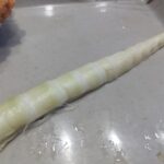 レス5番の画像1