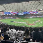 レス12番の画像1