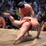 レス23番のリンク先のサムネイル画像