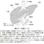 レス3番の画像1