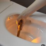 レス2番のリンク先のサムネイル画像