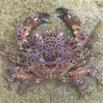 レス24番の画像1