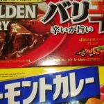 レス8番の画像1